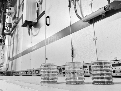 Praxis-WORKSHOP für Hygieneinspektion gem. VDI 6022